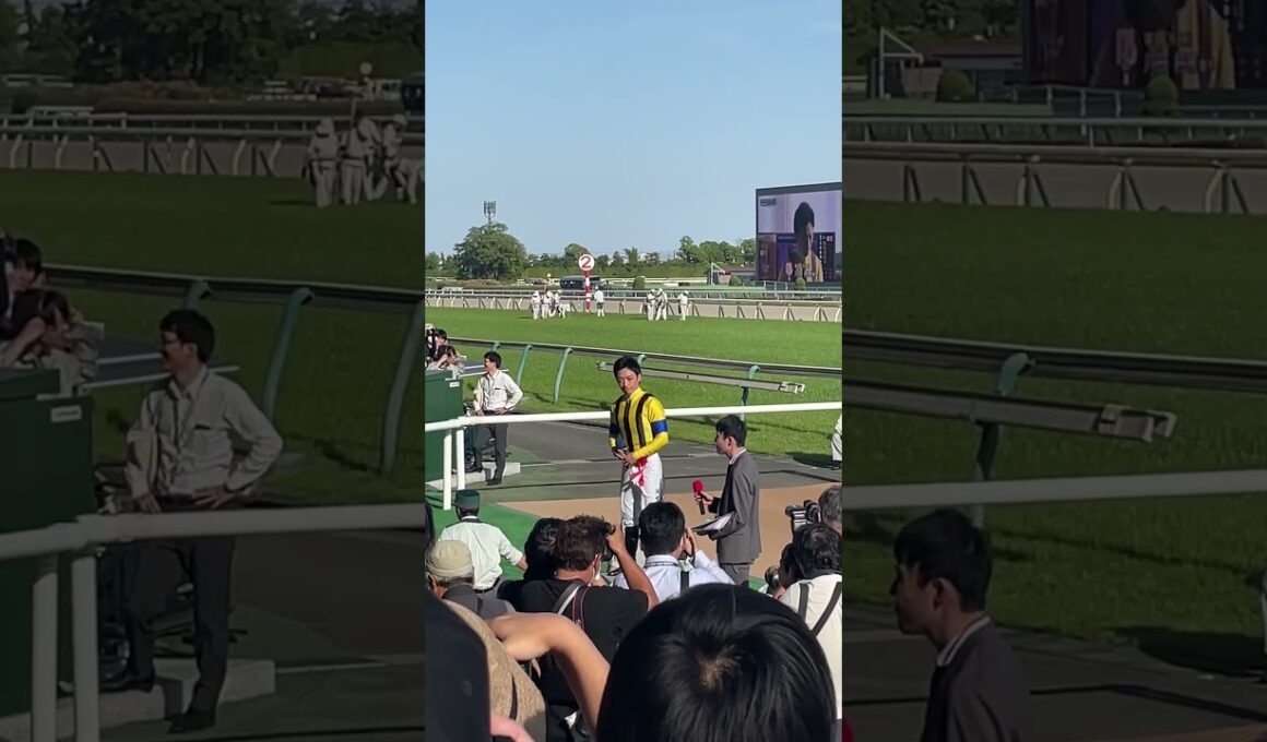 【現地撮影】NHKマイルカップ(2024)ジャンタルマンタル号川田将雅騎手 勝利ジョッキーインタビュー① #競馬 #NHKマイルカップ #川田将雅