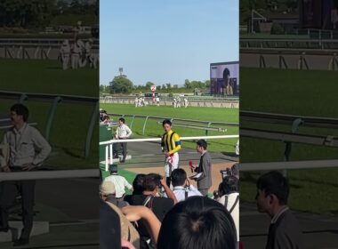 【現地撮影】NHKマイルカップ(2024)ジャンタルマンタル号川田将雅騎手 勝利ジョッキーインタビュー① #競馬 #NHKマイルカップ #川田将雅