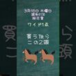 3月18日今日の浦和メイン桜花賞ワイド一点　#浦和競馬ライブ #地方競馬ライブ #浦和競馬 #馬券 #競馬予想