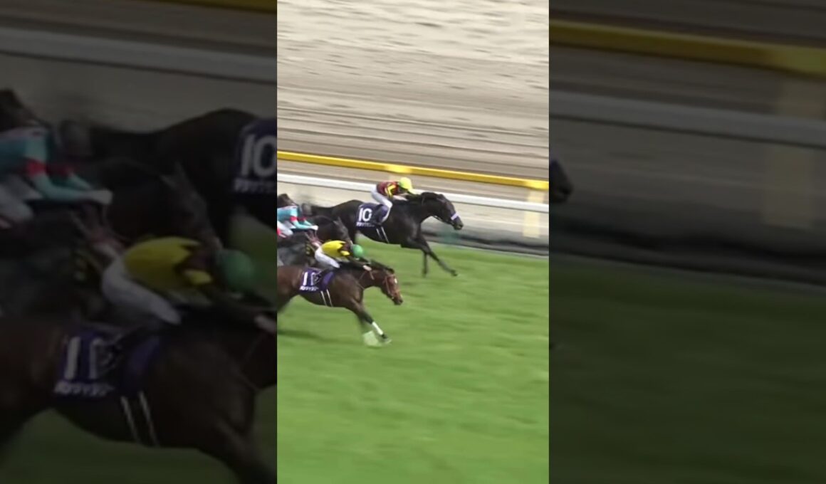 #shorts 2025 NHKマイルカップ #パンジャタワー #松山弘平