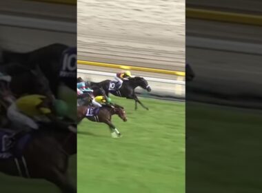 #shorts 2025 NHKマイルカップ #パンジャタワー #松山弘平