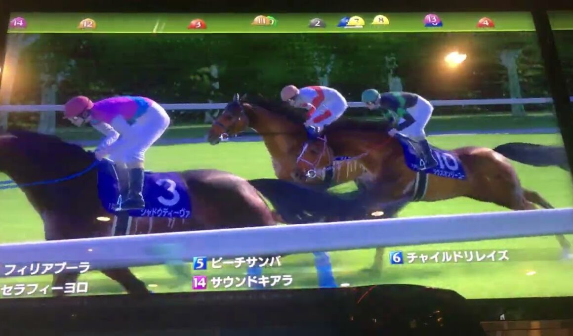 競馬(Ｇ１)・ヴィクトリアマイル(去年を振り返って)ＬＯＮＧ