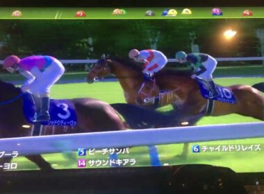 競馬(Ｇ１)・ヴィクトリアマイル(去年を振り返って)ＬＯＮＧ