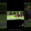 ヴィクトリアマイル(Ｇ１)・競馬(去年を振り返って)