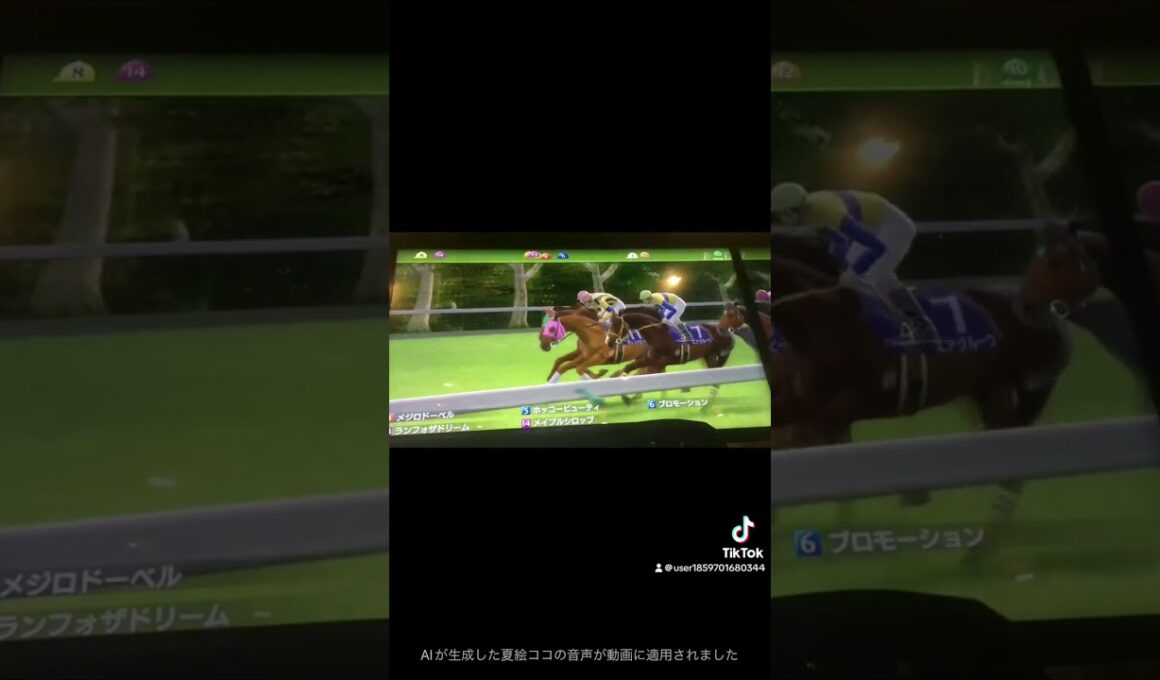 ヴィクトリアマイル(Ｇ１)・競馬(去年を振り返って)