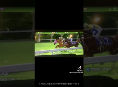 ヴィクトリアマイル(Ｇ１)・競馬(去年を振り返って)