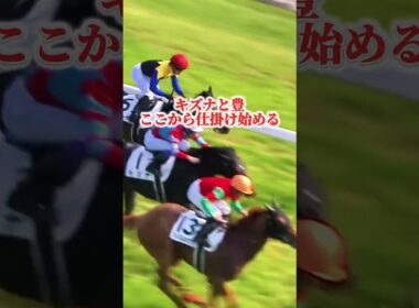 14万人の豊コール　第80回日本ダービーの伝説　キズナの物語②