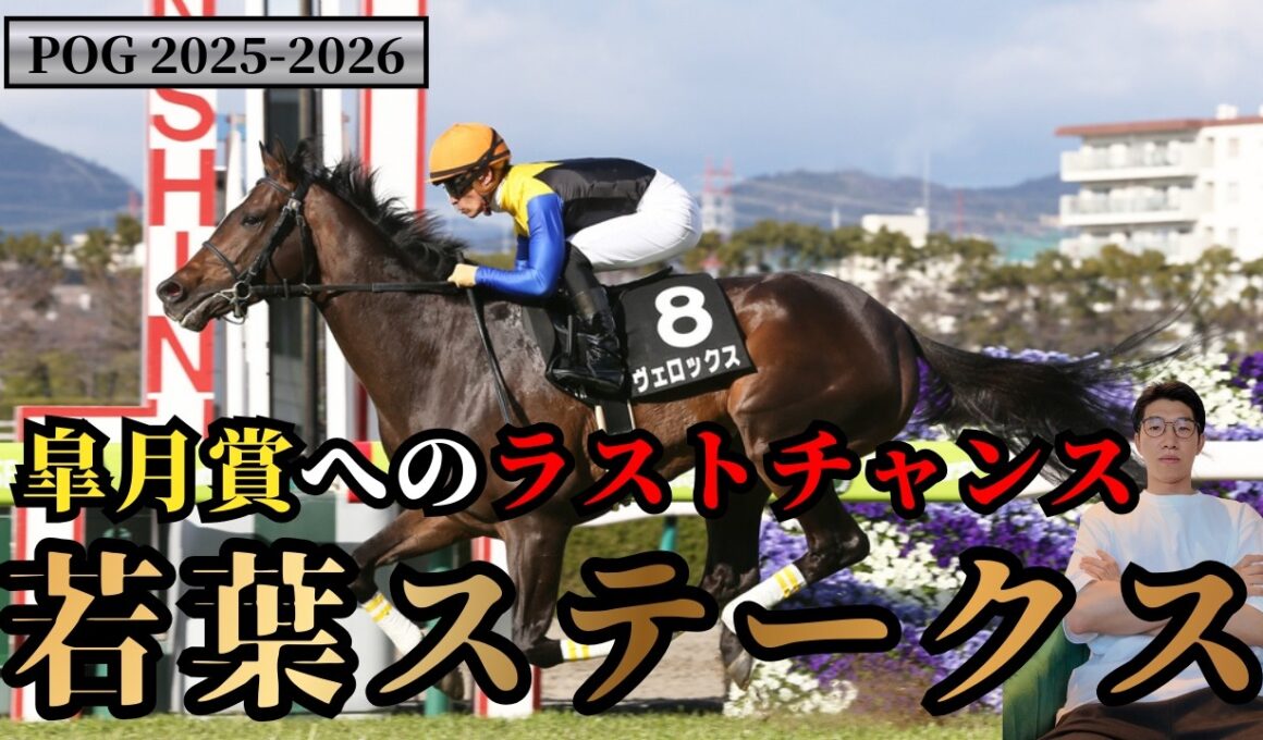 【POG2025-2026】皐月賞へのラストチャンス！若葉ステークス！注目馬 3頭を紹介！