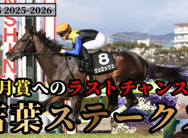 【POG2025-2026】皐月賞へのラストチャンス！若葉ステークス！注目馬 3頭を紹介！