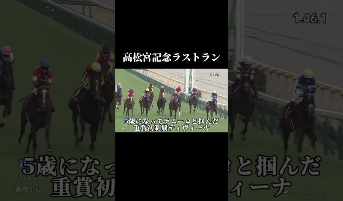 高松宮記念で引退した3頭 〜メイケイエール・ディヴィーナ・ロータスランド〜 お疲れ様でした！＃高松宮記念＃高松宮記念2024＃メイケイエール＃ディヴィーナ＃ロータスランド＃ラトストラン＃引退