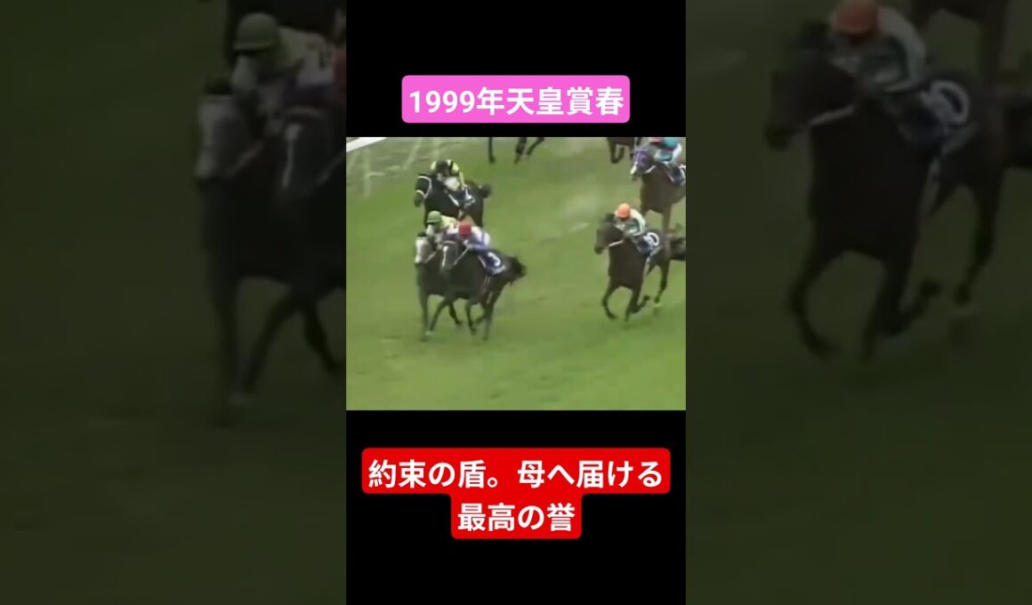 【1999年天皇賞春】二冠馬を昨年の覇者を寄せ付けない末脚 #競馬 #スペシャルウィーク#天皇賞春#武豊#shorts