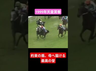 【1999年天皇賞春】二冠馬を昨年の覇者を寄せ付けない末脚 #競馬 #スペシャルウィーク#天皇賞春#武豊#shorts