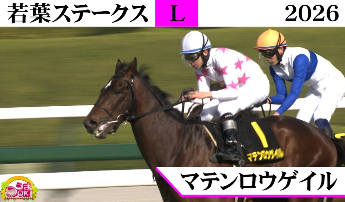 2026年 皐月賞トライアル 若葉ステークス（L） マテンロウゲイル 人気に応え皐月賞への挑戦権獲得！