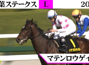 2026年 皐月賞トライアル 若葉ステークス（L） マテンロウゲイル 人気に応え皐月賞への挑戦権獲得！