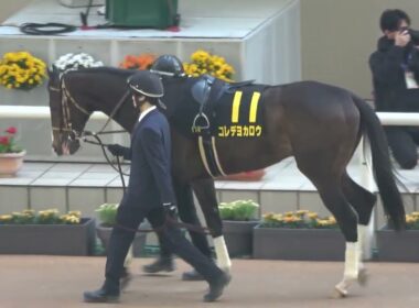 皐月賞への切符を掴んだのは‼  ①マテンロウゲイルと⑨ロードフィレール 現地映像 若葉ステークス