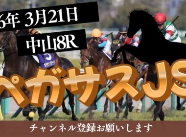 【ペガサスJS 2026】3/21 中山8R ラガマフィンの競馬予想