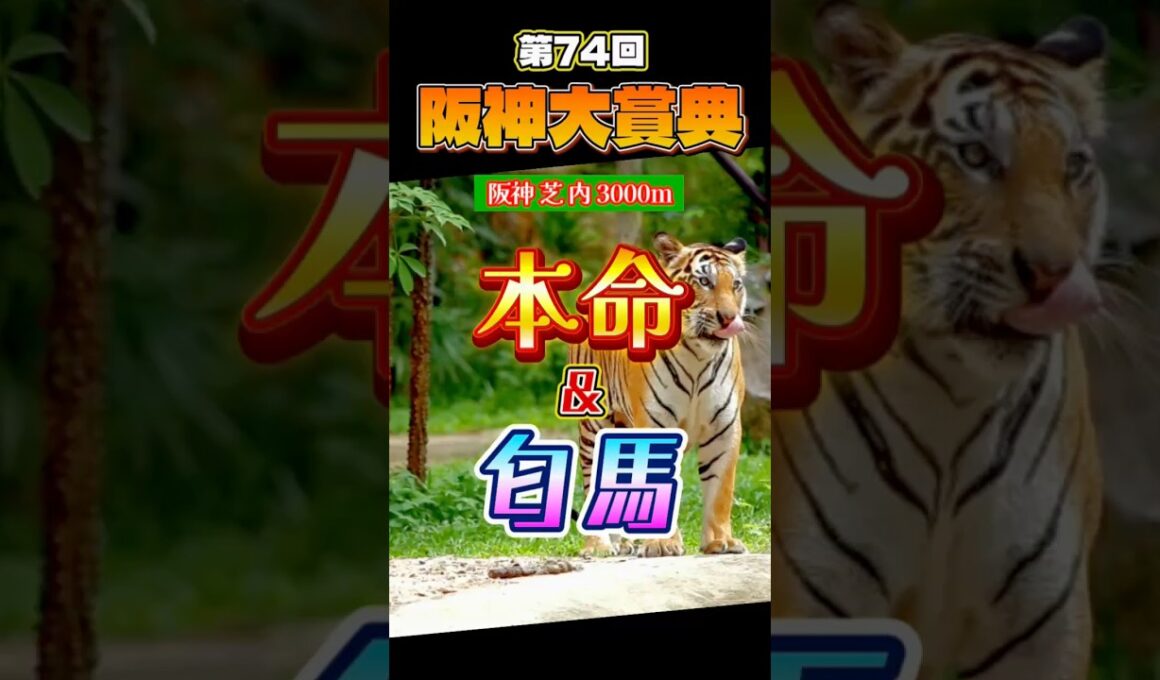 【阪神大賞典 本命◎&匂馬】 天皇賞春に向けての前哨戦な訳ですが、10頭立てですからね。点数は抑えめで、その分愛知杯に振りましょう（笑）　ただ、上位人気3頭に意外と不安点あるんですよね…#阪神大賞典