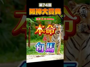 【阪神大賞典 本命◎&匂馬】 天皇賞春に向けての前哨戦な訳ですが、10頭立てですからね。点数は抑えめで、その分愛知杯に振りましょう（笑）　ただ、上位人気3頭に意外と不安点あるんですよね…#阪神大賞典