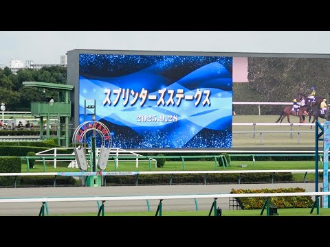 【スプリンターズS 2025】レース前のカッコいい煽りV〜ファンファーレ生演奏 三浦皇成【陸上自衛隊東部方面音楽隊】