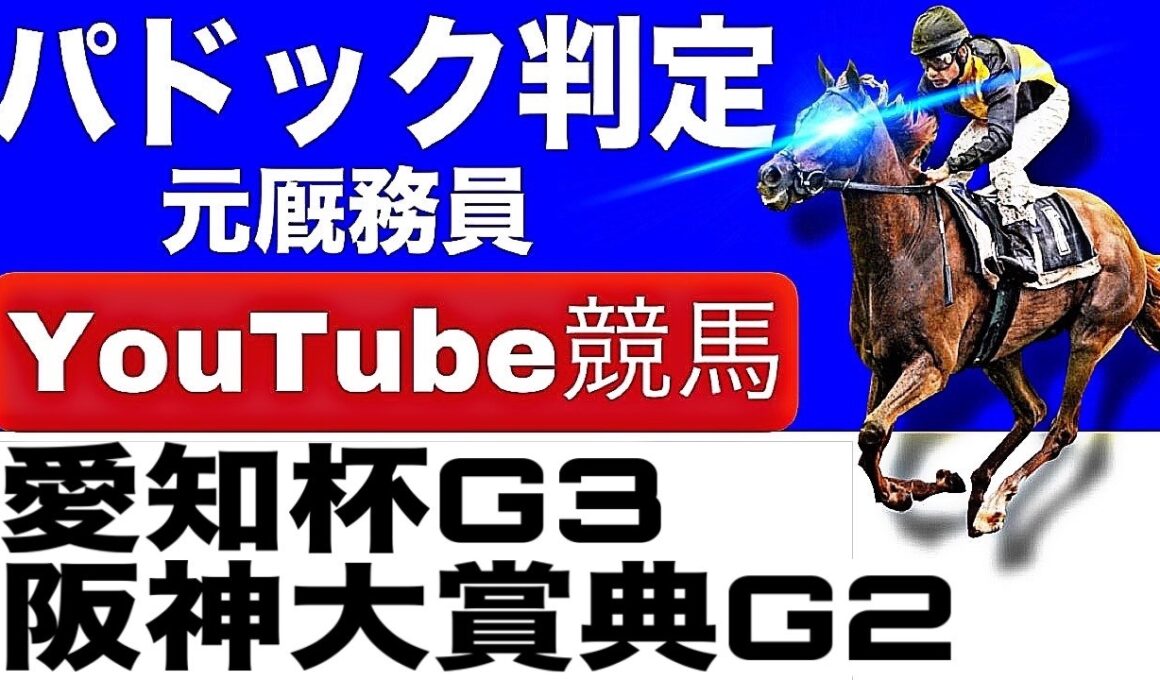 阪神大賞典2026完全予想！今年の注目馬とパドックを徹底解説！