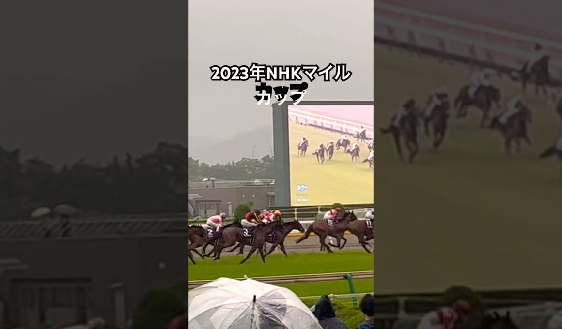 2023 NHKマイルカップ 現地で観てたこと忘れてた