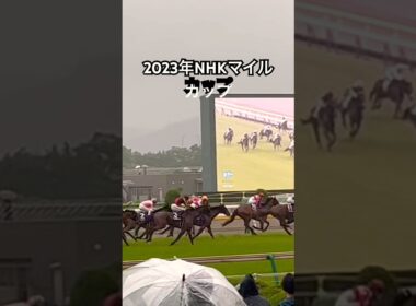 2023 NHKマイルカップ 現地で観てたこと忘れてた