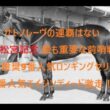サトノレーヴの高松宮記念連覇はない　最も重要な前哨戦　調教推奨馬９番人気ロンギングセリーヌ、８番人気エイシンディード激走