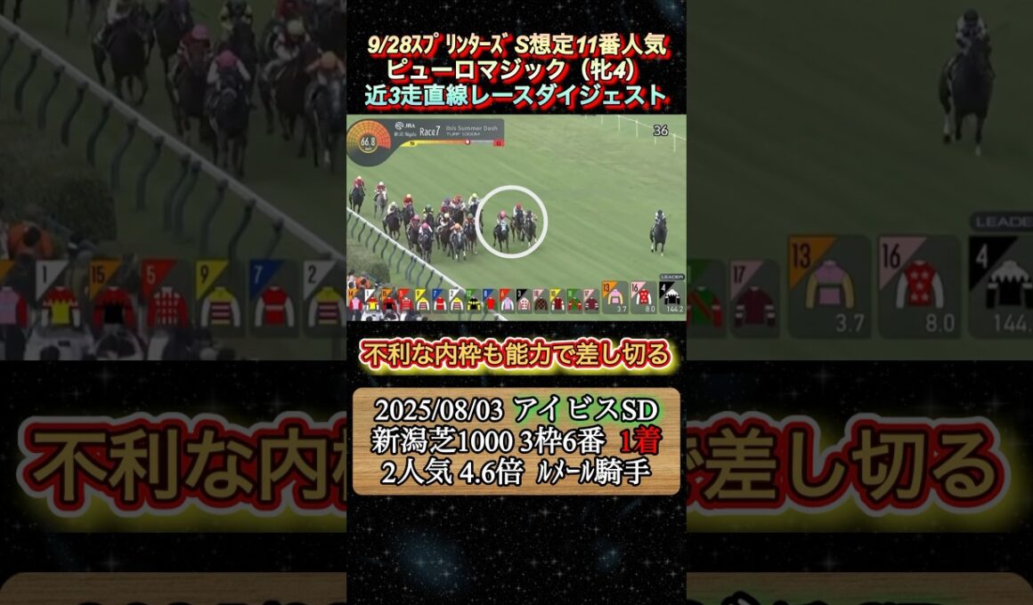 【ピューロマジック】 スプリンターズS想定11番人気！近3走ダイジェスト　#競馬  #スプリンターズステークス  #ピューロマジック  #shorts
