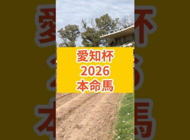 愛知杯2026　本命発表#愛知杯 #愛知杯2026 #GⅢ #中京競馬場 #中京芝1400m #ヴィクトリアマイル前哨戦 #春競馬2026 #牝馬重賞 #ウィントワイライト #チェルビアット