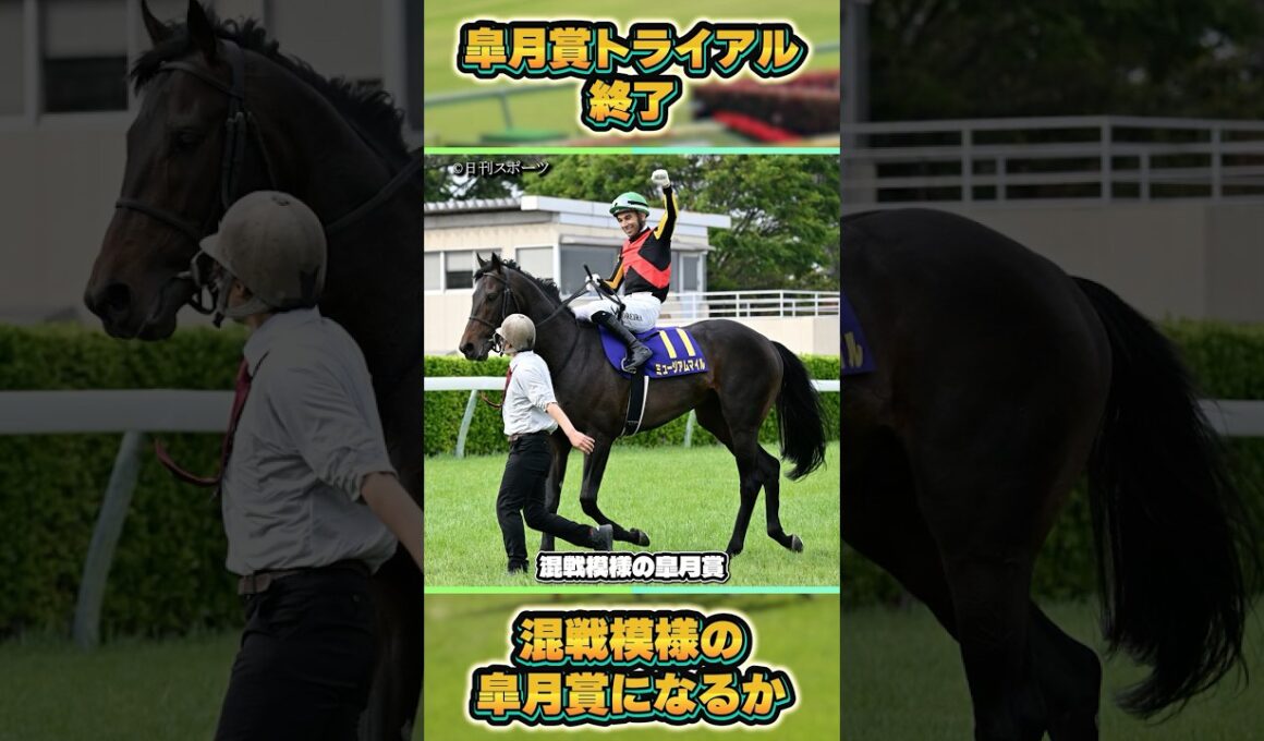 【2026年皐月賞トライアル終了】優先出走可能な馬と賞金順は？　#shorts #競馬予想 #馬 #皐月賞 #弥生賞 #スプリングs #スプリングステークス