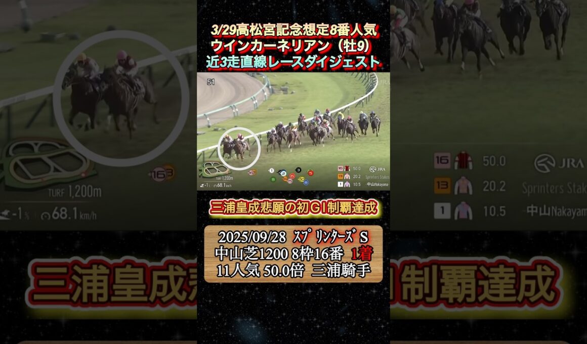 【ウインカーネリアン】 高松宮記念想定8番人気！近3走ダイジェスト　#競馬  #高松宮記念  #ウインカーネリアン  #三浦皇成  #shorts