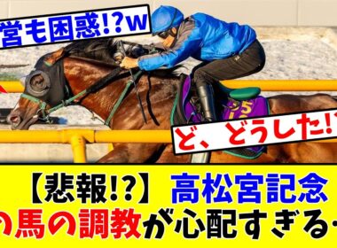 【高松宮記念】【悲報!?】あの馬の調教が心配すぎる…www