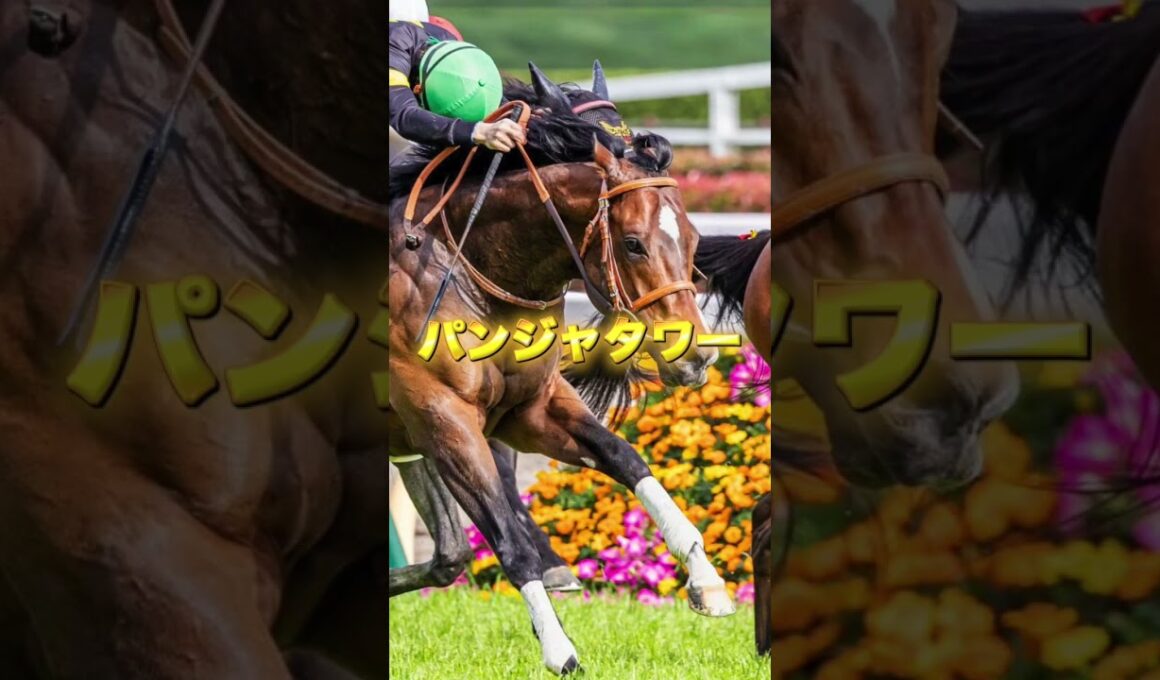 G1高松宮記念の注目馬を3頭紹介＃競馬＃競馬予想＃サトノレーヴ＃ナムラクレア＃パンジャタワー