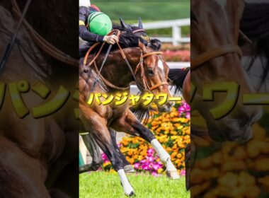 G1高松宮記念の注目馬を3頭紹介＃競馬＃競馬予想＃サトノレーヴ＃ナムラクレア＃パンジャタワー
