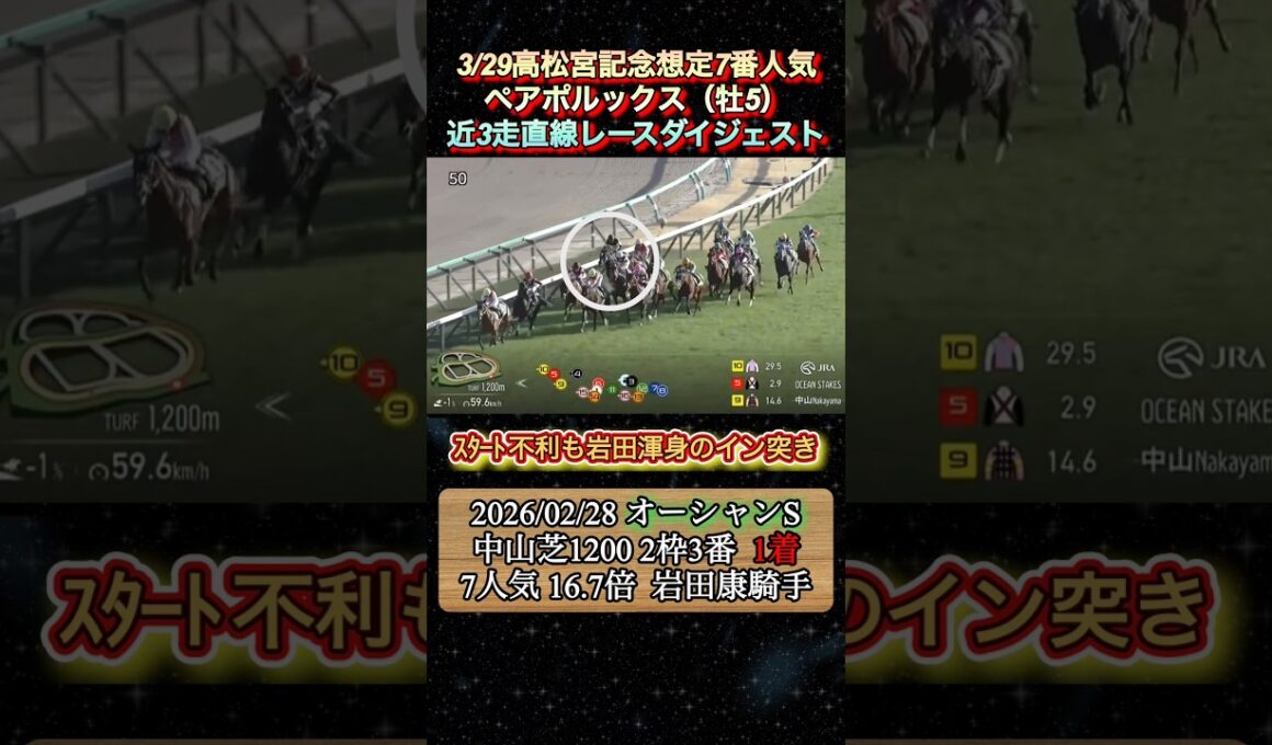 【ペアポルックス】 高松宮記念想定6番人気！近3走ダイジェスト　#競馬  #高松宮記念  #ペアポルックス  #岩田康成  #shorts