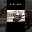 驀進王、日本競馬屈指のスプリンター　#サクラバクシンオー #競馬 #shorts #スプリンターズステークス #ウマ娘
