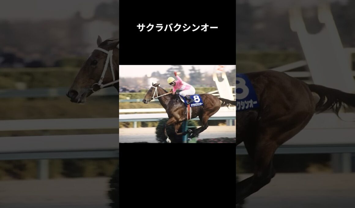 驀進王、日本競馬屈指のスプリンター　#サクラバクシンオー #競馬 #shorts #スプリンターズステークス #ウマ娘