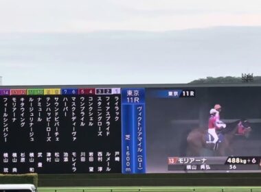 ヴィクトリアマイル2024本場入場