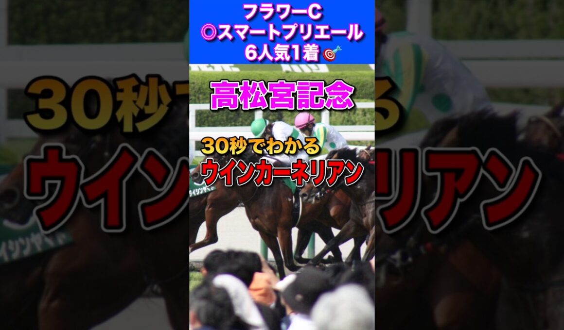 【高松宮記念2026】30秒でわかるウインカーネリアン