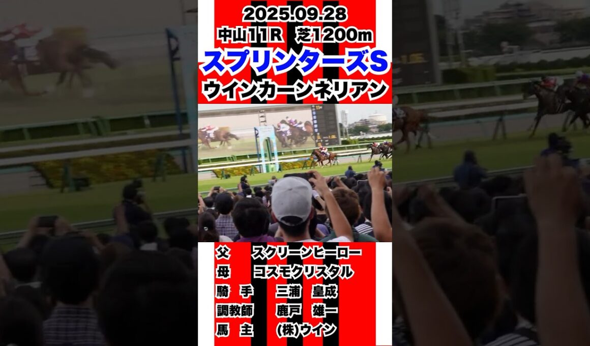 現地撮影 ウインカーンネリアン【スプリンターズS 2025】