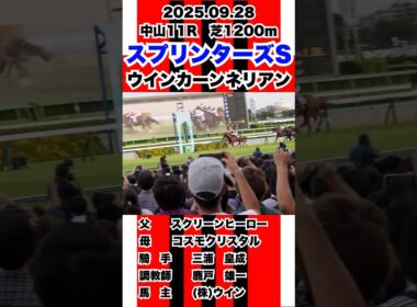 現地撮影 ウインカーンネリアン【スプリンターズS 2025】