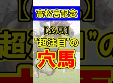 【高松宮記念】超注目の穴馬！① #競馬 #競馬予想 #高松宮記念  #shorts
