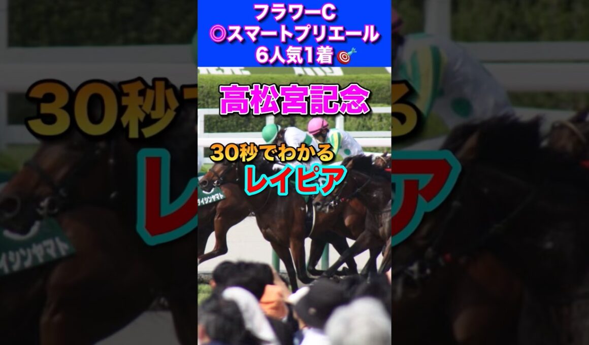 【高松宮記念2026】30秒でわかるレイピア