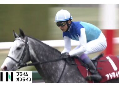 【阪神大賞典・G2＆愛知杯・G3】先週57歳になった武豊がまたも大記録＆1人気アドマイヤテラを重賞2勝目に導く！中京では伏兵アイサンサンが2026年開業の橋田厩舎にいきなりタイトルもたらす！