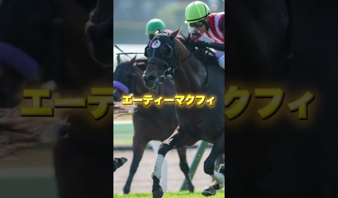 G1高松宮記念の穴馬を3頭紹介＃競馬＃競馬予想＃レットモンレーヴ＃エーティーマクフィ＃ヤマニンアルリフラ