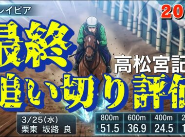 🎯【高松宮記念2026】3強の牙城は崩せるのか？｜1頭特別な「氣」を放っています、地力はないですが、ハマれば！！