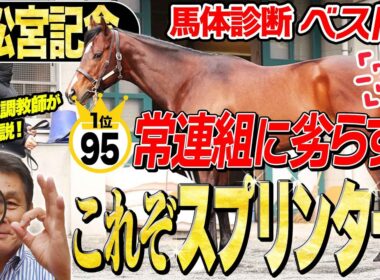 【高松宮記念2026】これがスプリンターの馬体！中村均元調教師が馬体診断ベスト５を発表 ！《東スポ競馬》