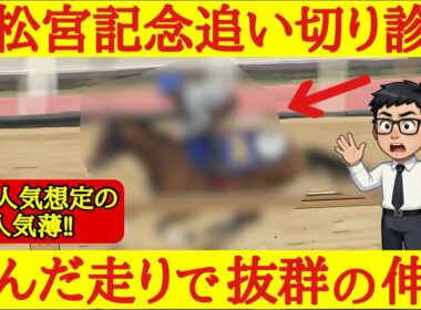 【高松宮記念2026】最終追い切り診断！大波乱を起こす可能性を予感させるほどの超抜な動きを見せたあの穴馬！