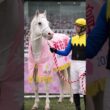 ソダシ｜白毛がクラシックを制した日【桜花賞】#ソダシ#桜花賞#白毛#競馬#ウマ娘#競馬ドキュメント
