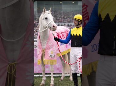 ソダシ｜白毛がクラシックを制した日【桜花賞】#ソダシ#桜花賞#白毛#競馬#ウマ娘#競馬ドキュメント